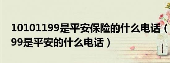 10101199是平安保险的什么电话（10101199是平安的什么电话）