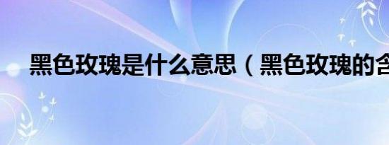 黑色玫瑰是什么意思（黑色玫瑰的含义）