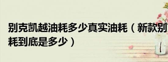 别克凯越油耗多少真实油耗（新款别克凯越油耗到底是多少）