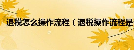 退税怎么操作流程（退税操作流程是什么）