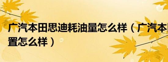 广汽本田思迪耗油量怎么样（广汽本田思迪配置怎么样）