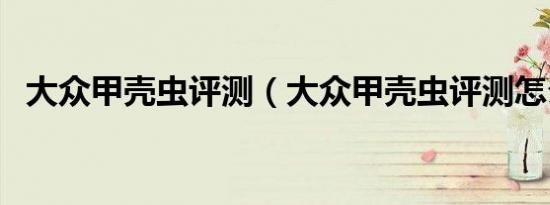 大众甲壳虫评测（大众甲壳虫评测怎么样）