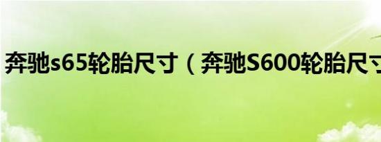 奔驰s65轮胎尺寸（奔驰S600轮胎尺寸型号）