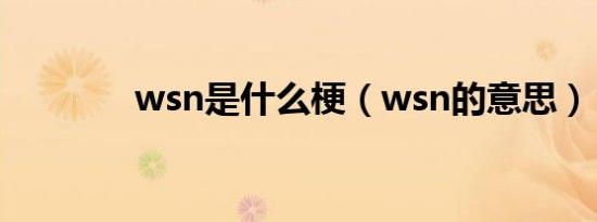 wsn是什么梗（wsn的意思）