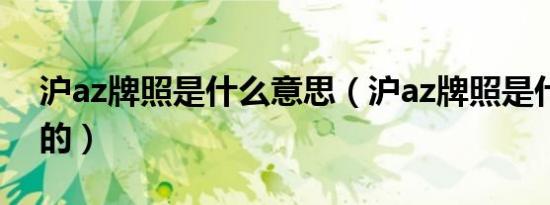 沪az牌照是什么意思（沪az牌照是什么意思的）