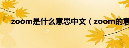 zoom是什么意思中文（zoom的意思）