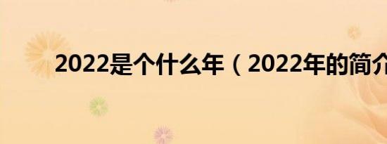2022是个什么年（2022年的简介）