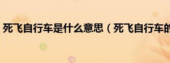 死飞自行车是什么意思（死飞自行车的解释）