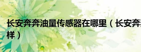 长安奔奔油量传感器在哪里（长安奔奔油耗怎样）