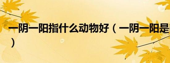 一阴一阳指什么动物好（一阴一阳是哪个动物）
