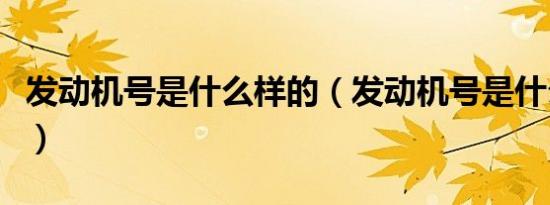发动机号是什么样的（发动机号是什么在哪看）