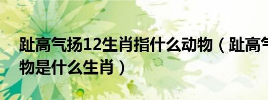 趾高气扬12生肖指什么动物（趾高气扬的动物是什么生肖）