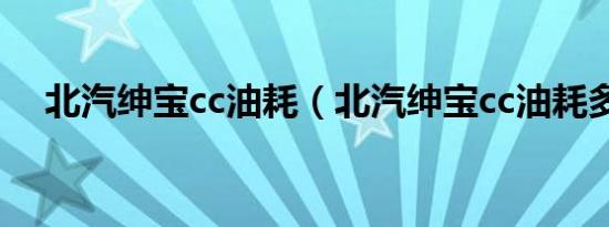 北汽绅宝cc油耗（北汽绅宝cc油耗多少）