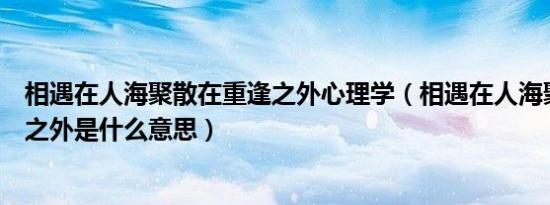 相遇在人海聚散在重逢之外心理学（相遇在人海聚散在重逢之外是什么意思）