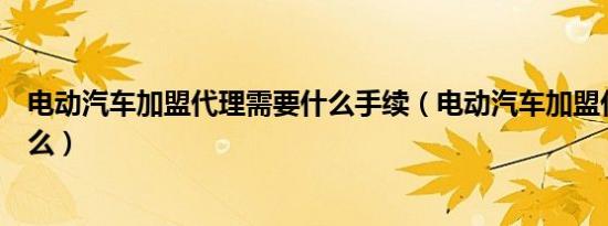 电动汽车加盟代理需要什么手续（电动汽车加盟代理需要什么）
