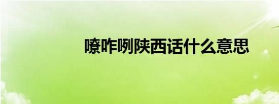 嘹咋咧陕西话什么意思