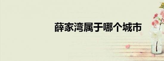 薛家湾属于哪个城市