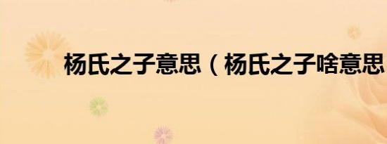 杨氏之子意思（杨氏之子啥意思）
