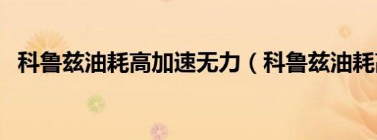 科鲁兹油耗高加速无力（科鲁兹油耗高吗）