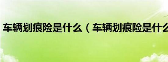 车辆划痕险是什么（车辆划痕险是什么意思）
