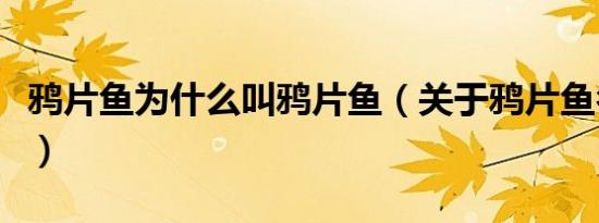 鸦片鱼为什么叫鸦片鱼（关于鸦片鱼名字由来）