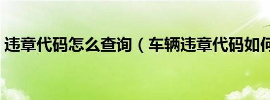 违章代码怎么查询（车辆违章代码如何查询）