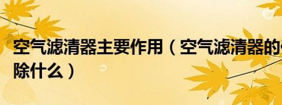 空气滤清器主要作用（空气滤清器的作用是滤除什么）