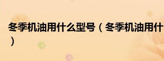 冬季机油用什么型号（冬季机油用什么型号的）