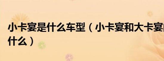 小卡宴是什么车型（小卡宴和大卡宴的区别是什么）