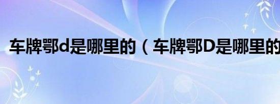 车牌鄂d是哪里的（车牌鄂D是哪里的车牌）
