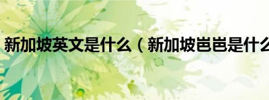 新加坡英文是什么（新加坡岜岜是什么意思）