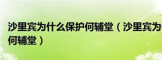 沙里宾为什么保护何辅堂（沙里宾为什么保护何辅堂）