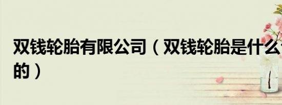 双钱轮胎有限公司（双钱轮胎是什么公司旗下的）