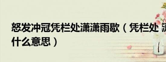 怒发冲冠凭栏处潇潇雨歇（凭栏处 潇潇雨歇什么意思）