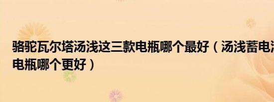 骆驼瓦尔塔汤浅这三款电瓶哪个最好（汤浅蓄电池和瓦尔塔电瓶哪个更好）