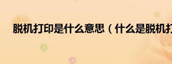 脱机打印是什么意思（什么是脱机打印）