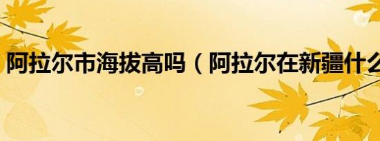 阿拉尔市海拔高吗（阿拉尔在新疆什么地方）