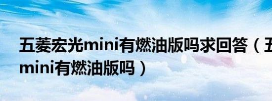 五菱宏光mini有燃油版吗求回答（五菱宏光mini有燃油版吗）