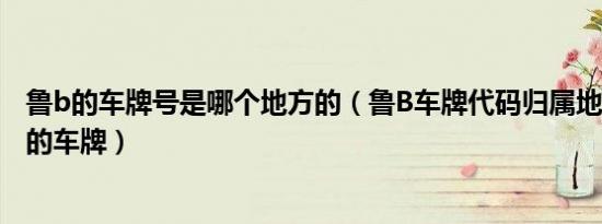 鲁b的车牌号是哪个地方的（鲁B车牌代码归属地鲁B是哪里的车牌）