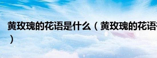 黄玫瑰的花语是什么（黄玫瑰的花语有什么呢）