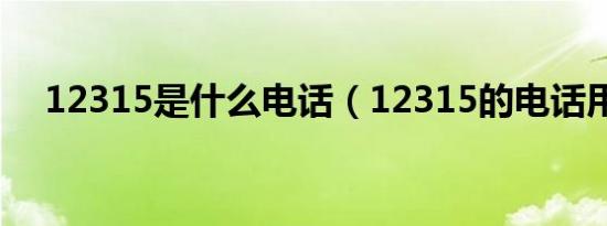 12315是什么电话（12315的电话用途）