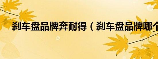 刹车盘品牌奔耐得（刹车盘品牌哪个好）