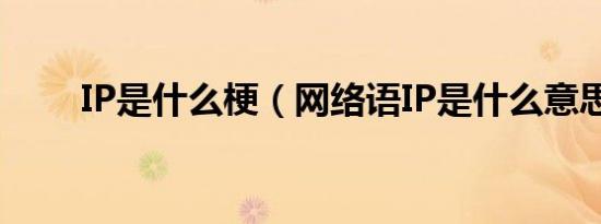 IP是什么梗（网络语IP是什么意思）