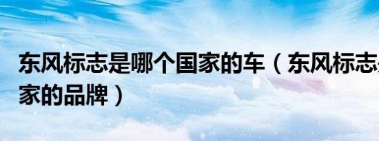 东风标志是哪个国家的车（东风标志是哪个国家的品牌）