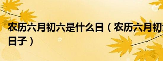 农历六月初六是什么日（农历六月初六是什么日子）