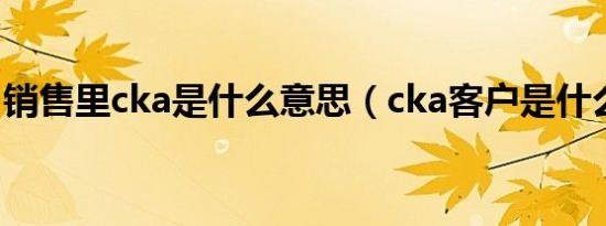 销售里cka是什么意思（cka客户是什么意思）