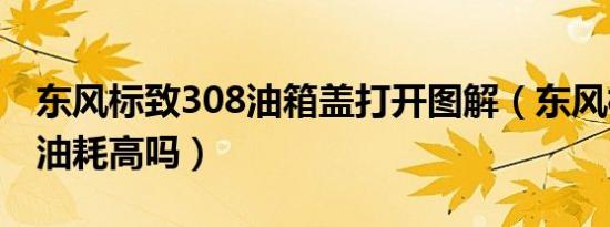 东风标致308油箱盖打开图解（东风标致308油耗高吗）