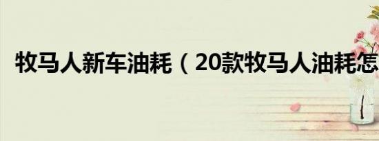 牧马人新车油耗（20款牧马人油耗怎么样）