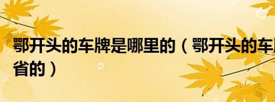 鄂开头的车牌是哪里的（鄂开头的车牌是哪个省的）