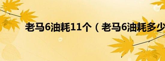 老马6油耗11个（老马6油耗多少）